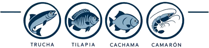 Trucha, tilapia, cachama y camarón